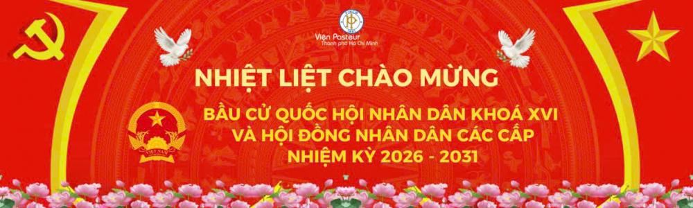 Chào mừng bầu cử Đại biểu Quốc hội