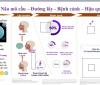 VIỆN PASTEUR THÀNH PHỐ HỒ CHÍ MINH – ĐỒNG HÀNH CÙNG NGƯỜI DÂN TRONG CÔNG TÁC PHÒNG, CHỐNG BỆNH TRUYỀN NHIỄM!