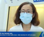 Bệnh Não mô cầu