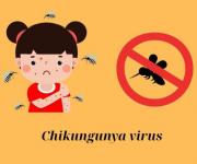 Chikungunya là bệnh gì? Nguyên nhân và cách phòng chống