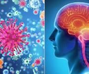 Bệnh não mô cầu